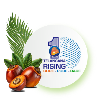 Telangana Rising